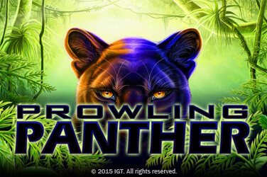 Prowling Panther