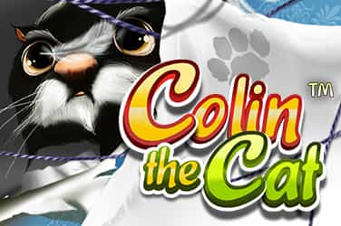 Colin The Cat