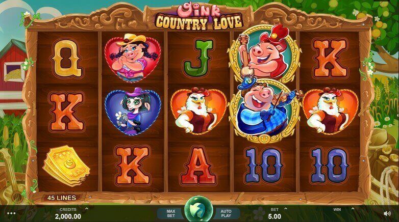 Oink Country Love Theme & Design