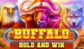 Buffalo Hold and Win