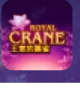 Power Prizes Royal Crane