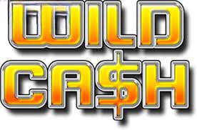 Wild Cash (Magic Dreams)