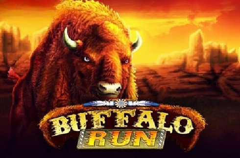 Buffalo Run