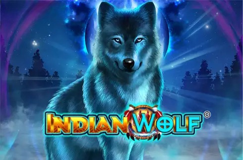 Indian Wolf