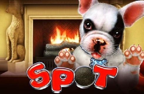 Spot