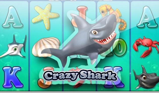 Crazy Shark