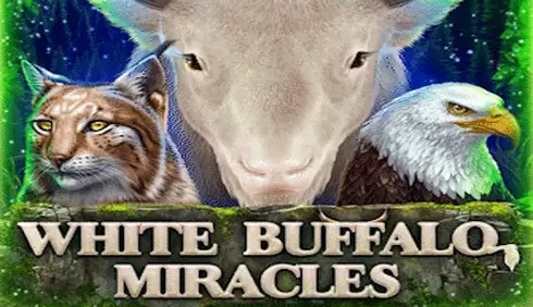 White Buffalo Miracles