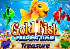 Gold Fish Feeding Time Treasure