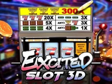 Excited Slot 3D 1000X