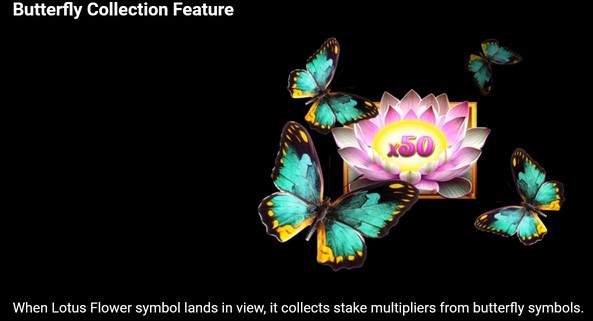 El Gran Chiguiro Butterfly Collection