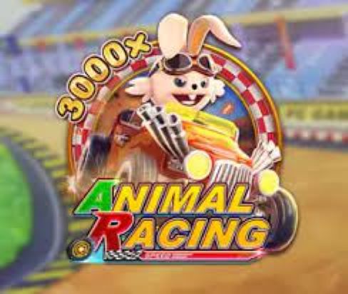 Animal Racing