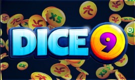 Dice 9