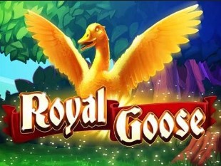 Royal Goose