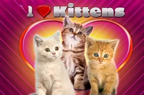 I Love Kittens