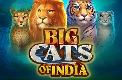 Big Cats of India