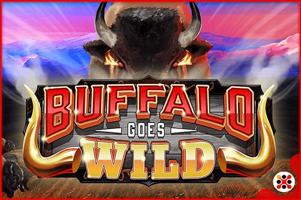 Buffalo Goes Wild