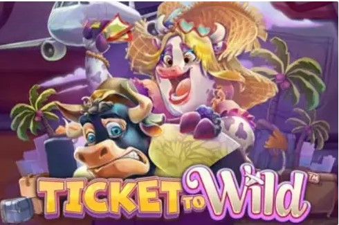 Ticket To Wild