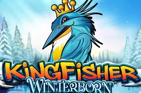 Kingfisher Winterborn