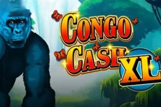 Congo Cash XL