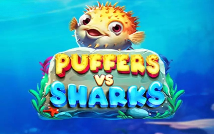 Puffers vs Sharks