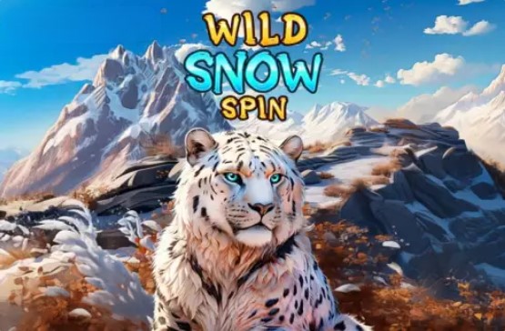 Wild Snow Spin