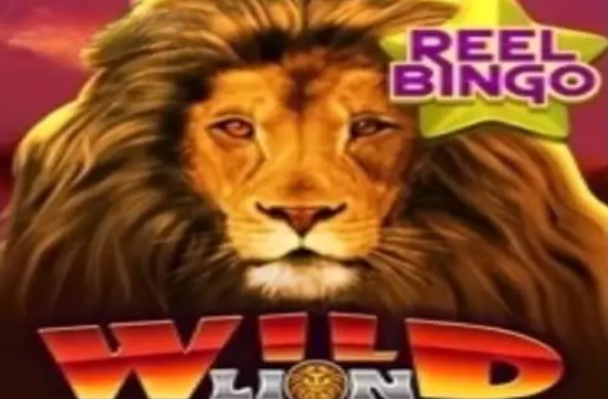 Wild Lion with Reel Bingo