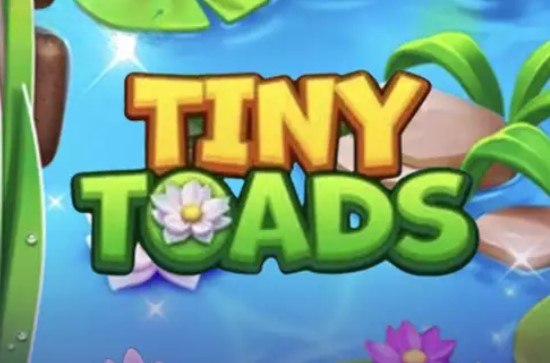 Tiny Toads